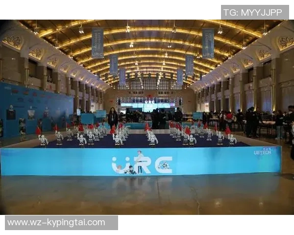 实时新闻深度对话探索王敏在和平精英中的成长与挑战之路